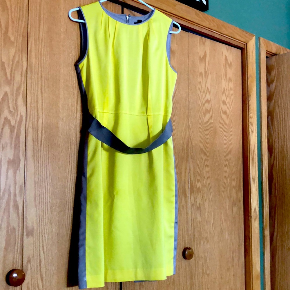 Ann Taylor dress, size 8